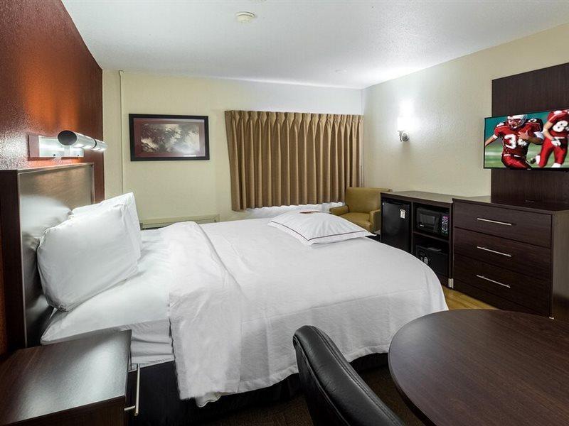 Red Roof Inn Plus+ South Deerfield - Amherst Экстерьер фото